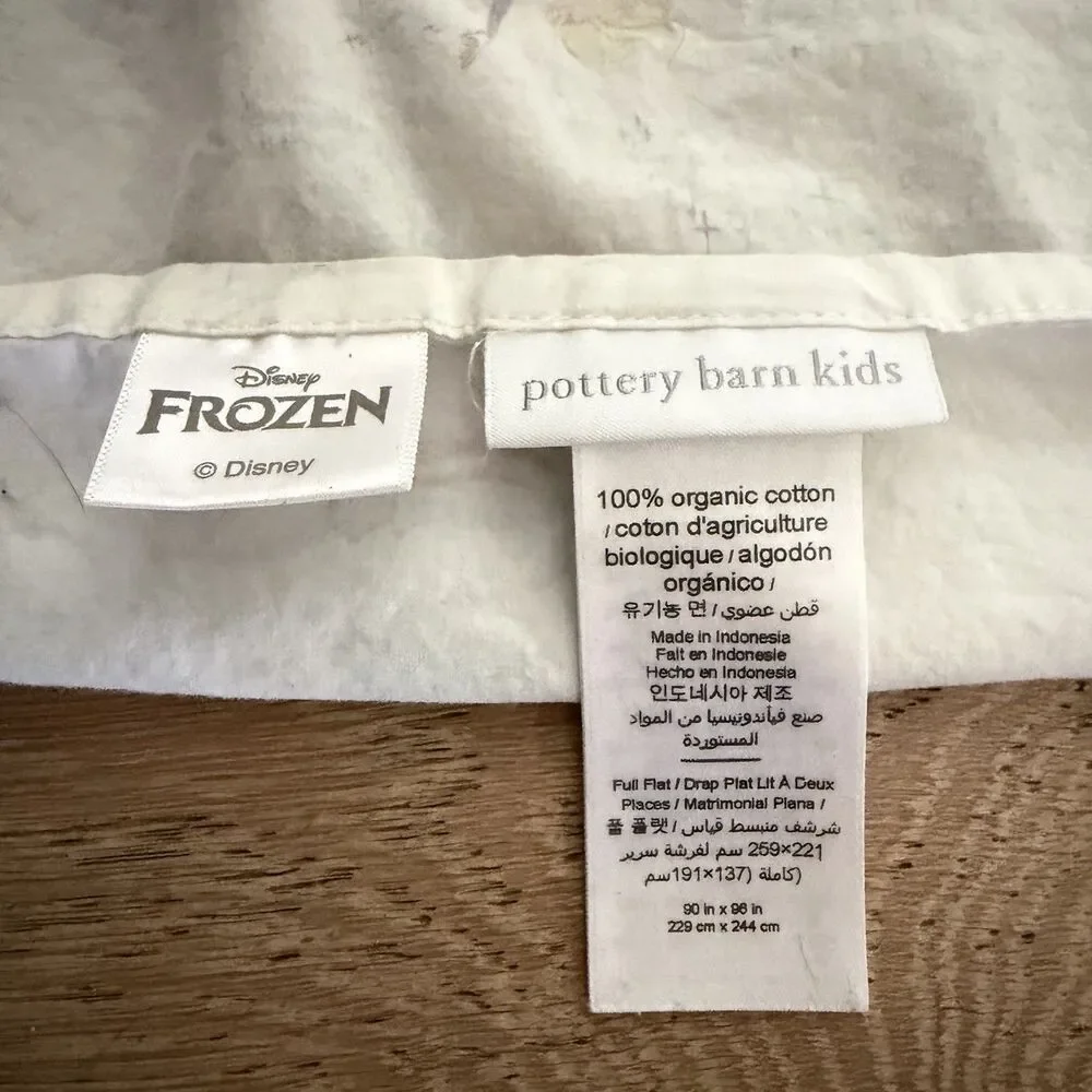 Pottery Barn Kids Disney Frozen Full Queen Flat Sheet Organic Cotton Elsa Anna